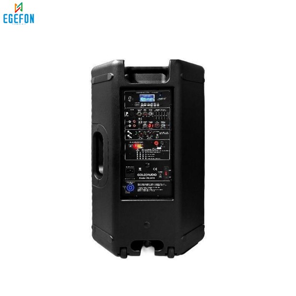 Gold Audio PA 2412 EE Model El+El Mikrofonlu 12" Taşınabilir Seyyar Amfi
