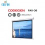 Codegen FAX-30 Model Storlu Projeksiyon Perdesi (300x225cm)